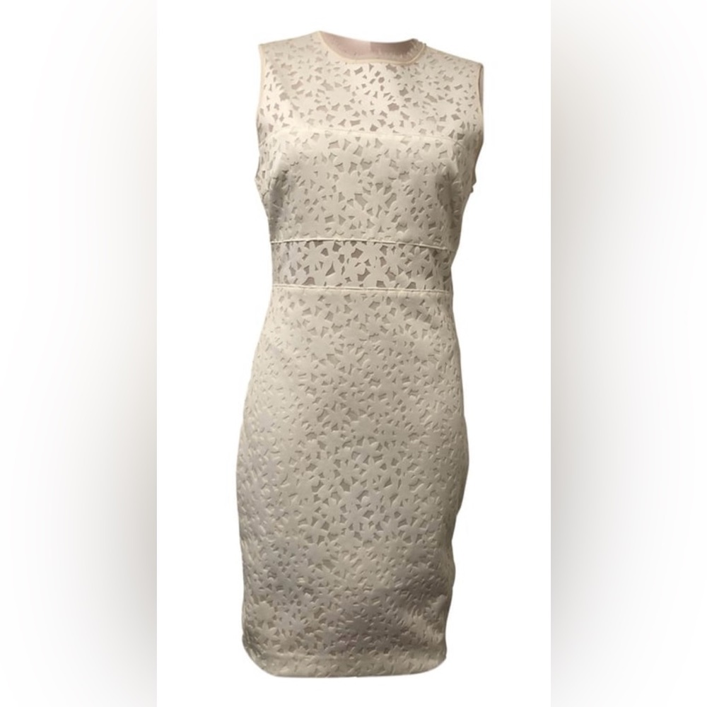 Elizabeth and James Levine Fitted Sheer
Lace Dress